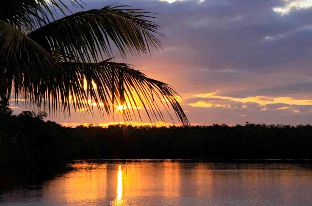 River Wilderness Waterfront Cabins إيفرغليدز سيتي المظهر الخارجي الصورة